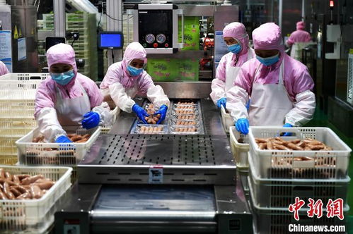 經(jīng)濟觀察 拼開放 福建深度融入共建 一帶一路